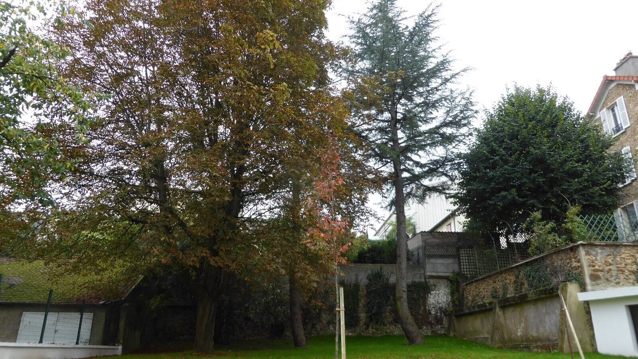 Photo of Outdoor in Saint-Cyr-l'Ecole