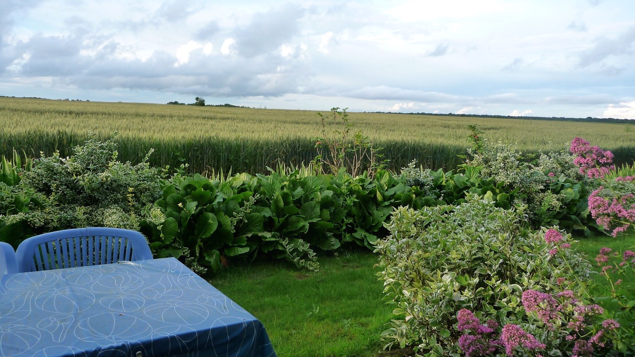 Photo of Outdoor in Courdimanche-sur-Essonne
