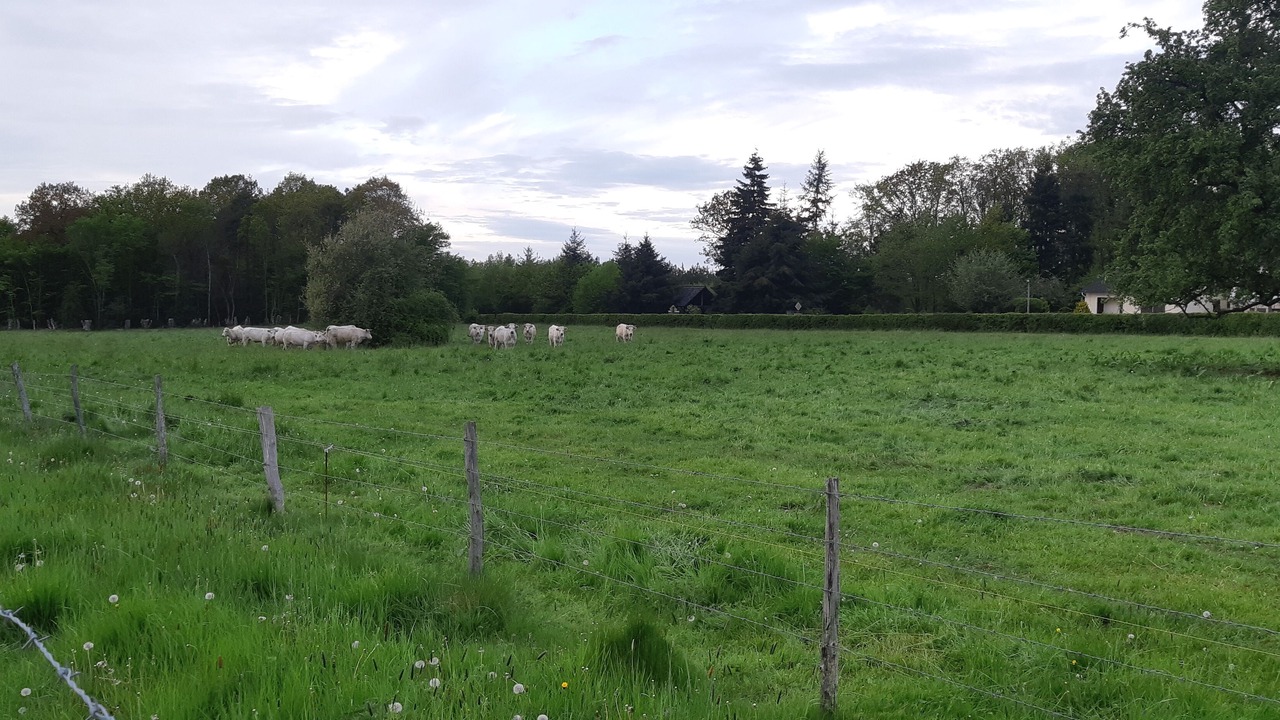 Photo of Outdoor in Beaumesnil