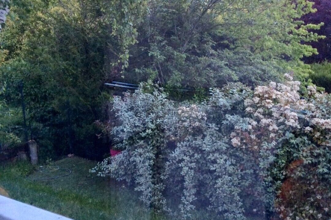Photo of Outdoor in Thiais