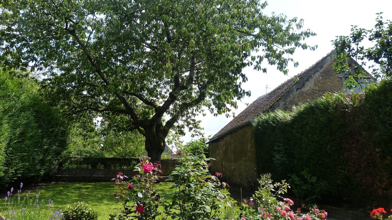 Photo of Outdoor in Cormes