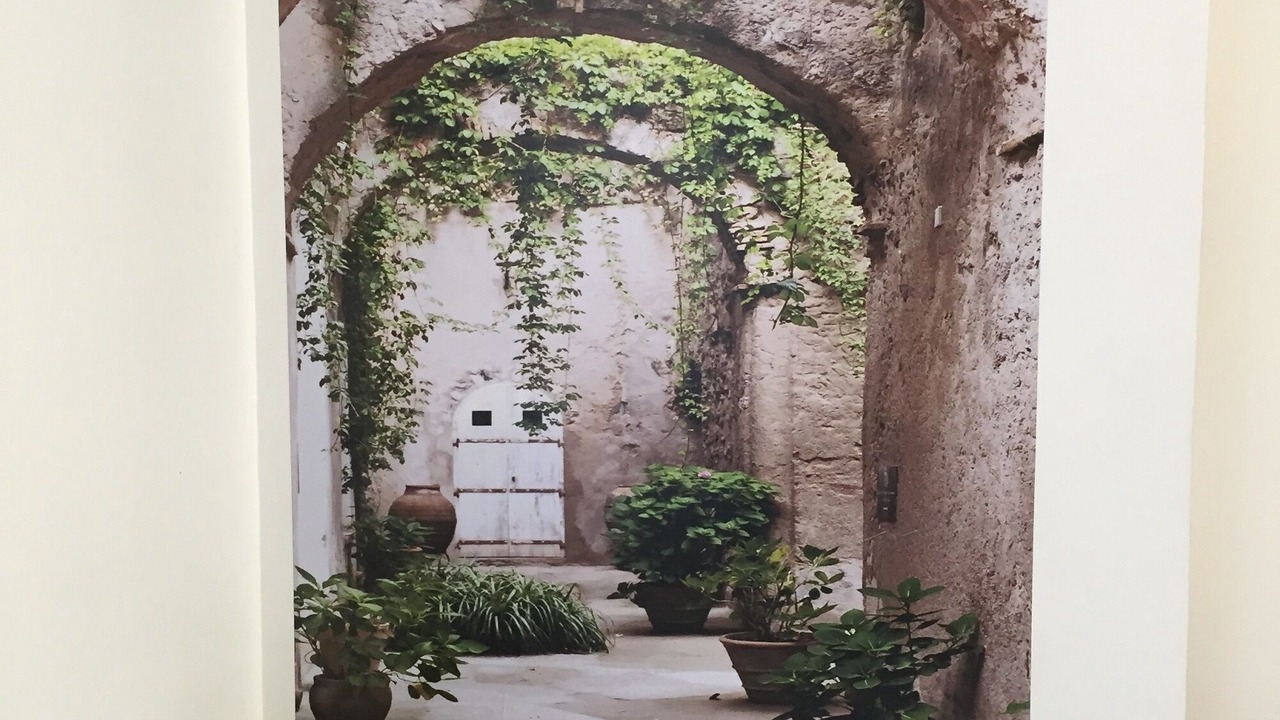 Photo of Others in Petit Moisenay