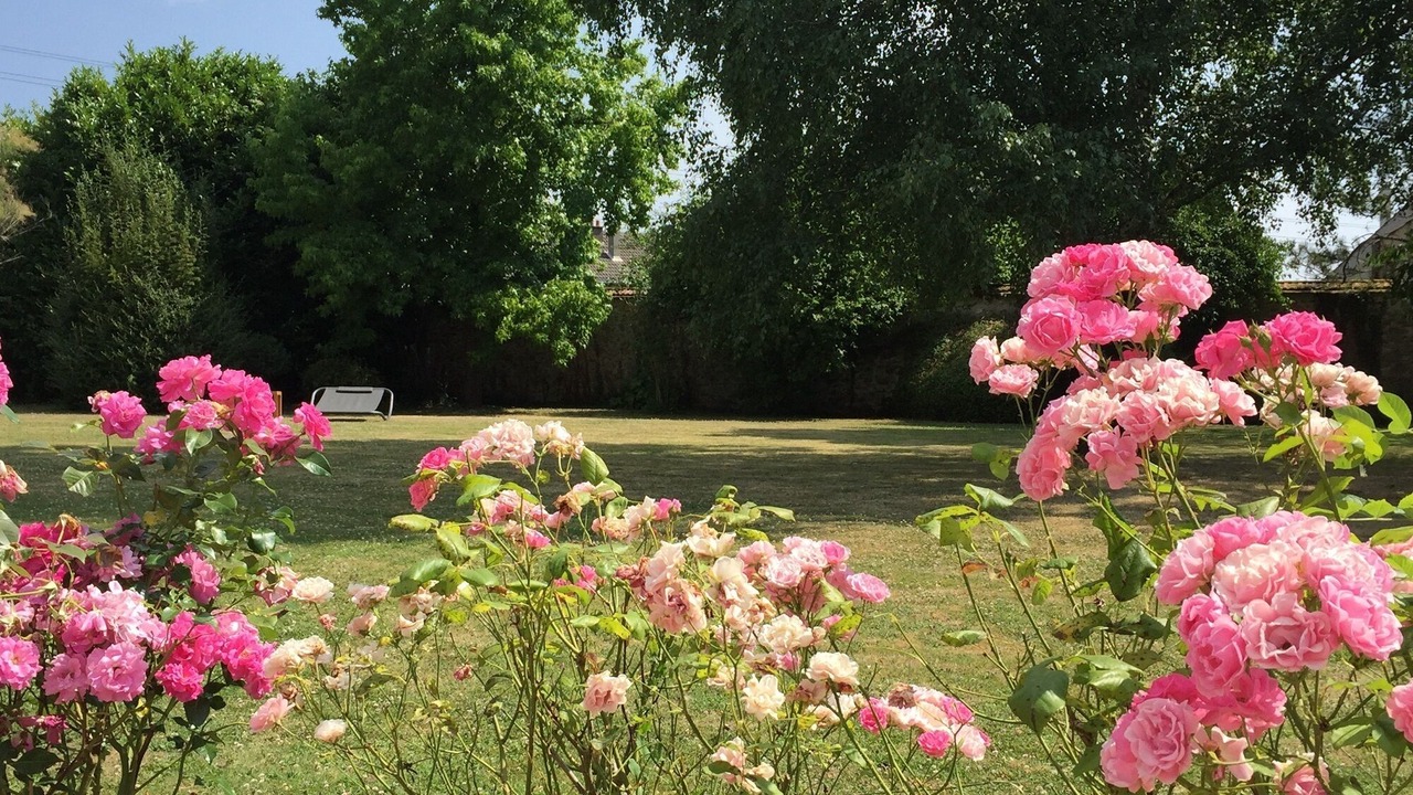 Photo of Outdoor in Petit Moisenay