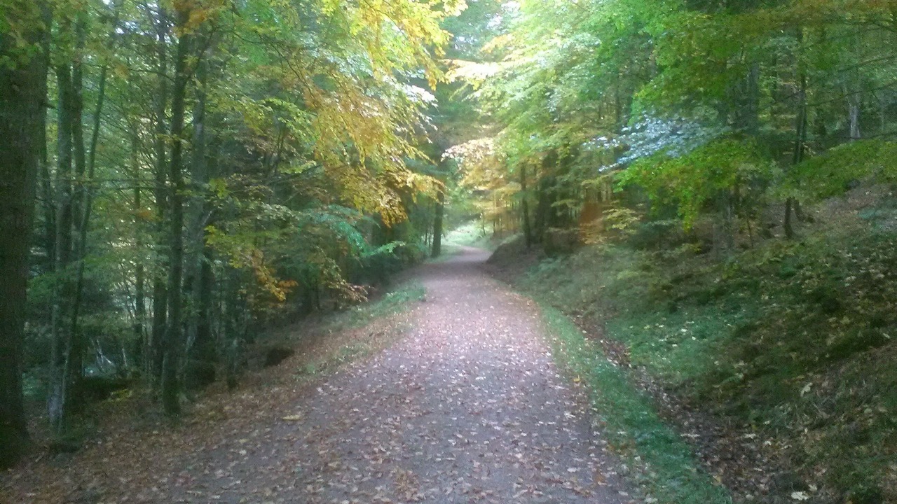Photo of Outdoor in La Bresse
