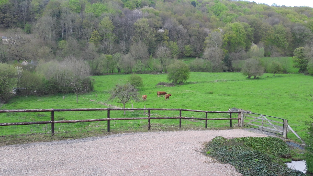 Photo of Outdoor in Fiquefleur-Equainville