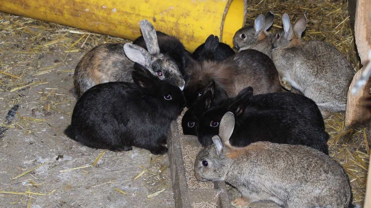 Photo of Others in Avesnes-en-Val