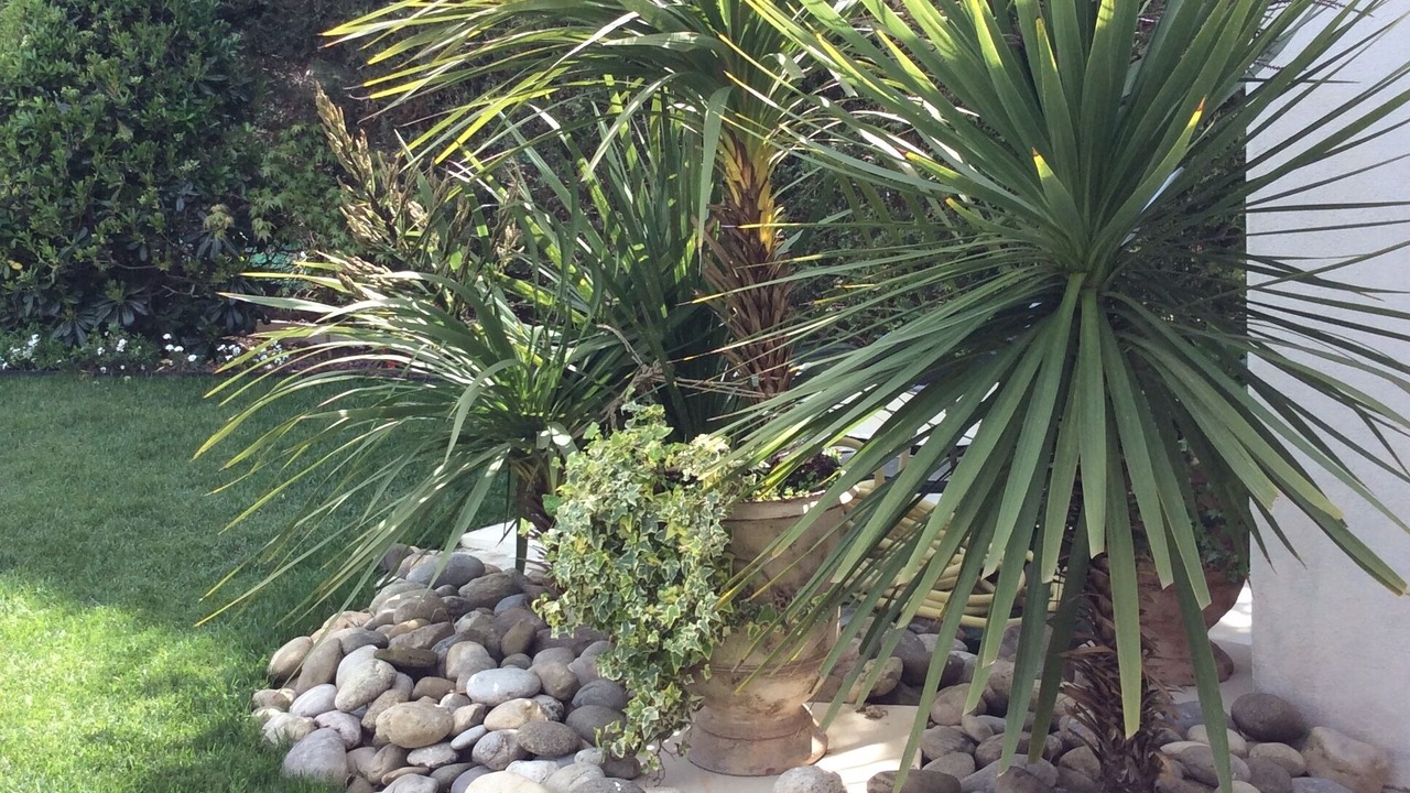 Photo of Outdoor in Carcassonne