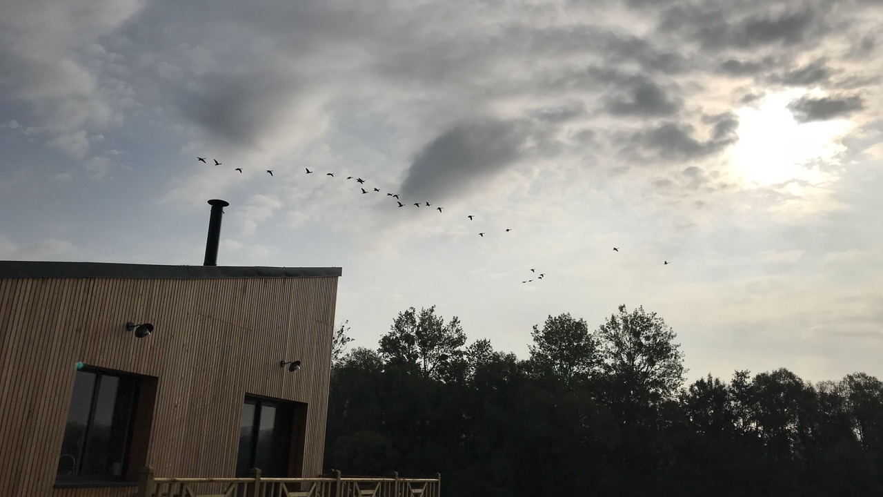 Photo of Outdoor in Recques-sur-Course