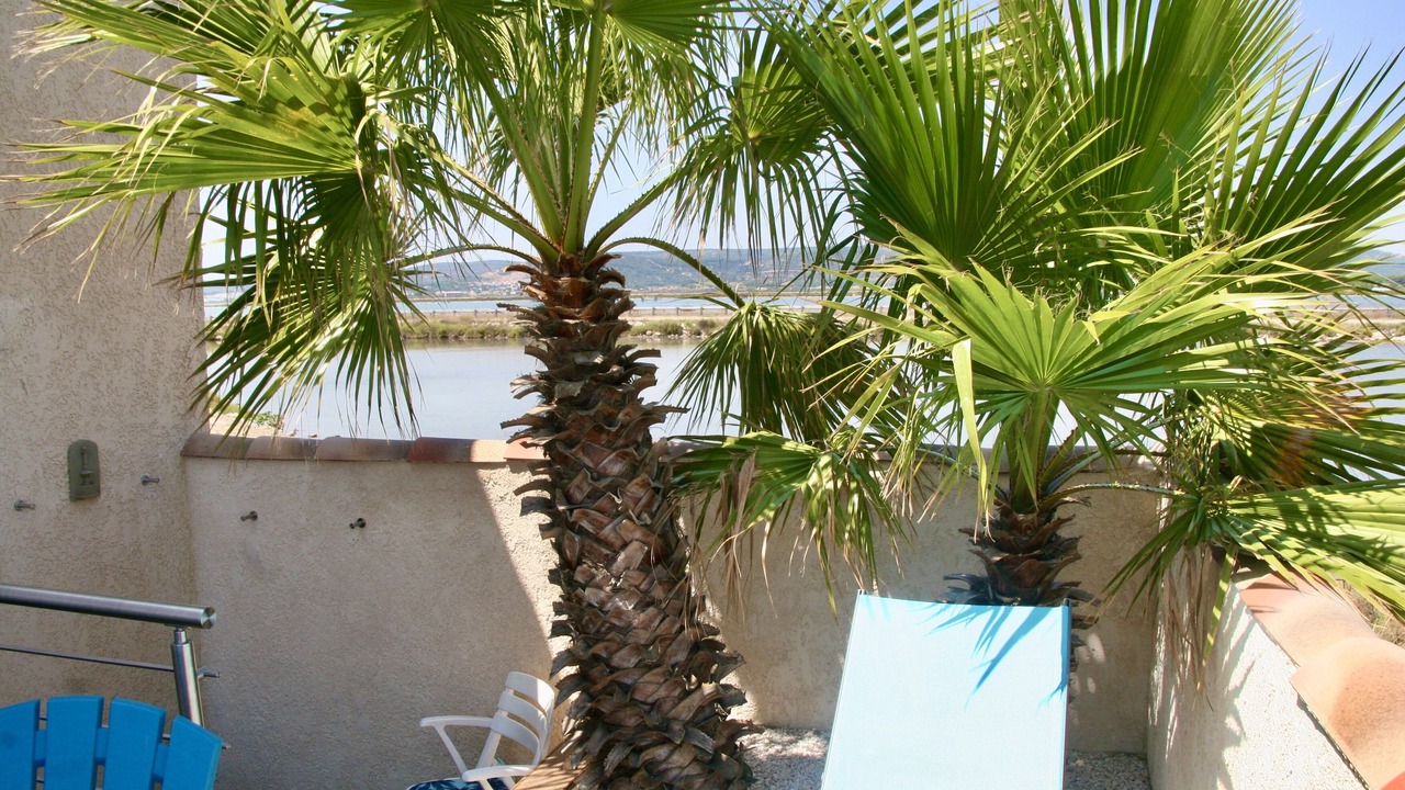 Photo of Outdoor in Frontignan