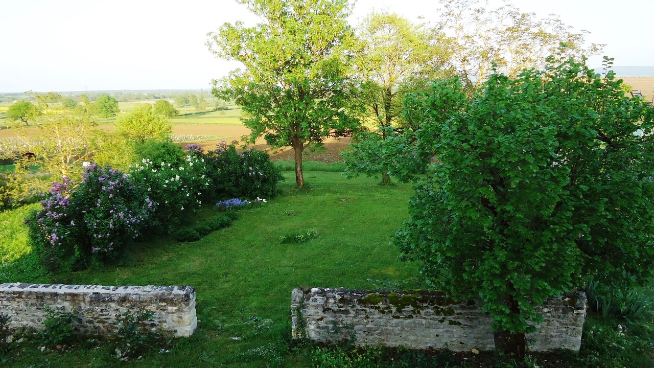 Photo of Outdoor in Saint-Boil