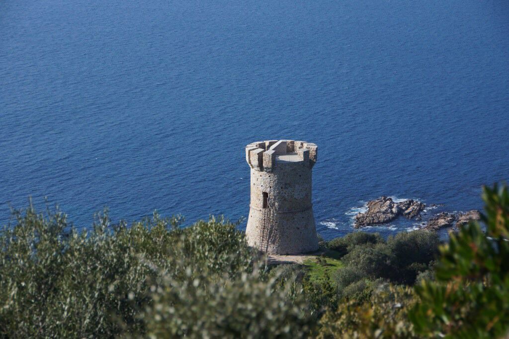 Photo of Others in Porto Pollo