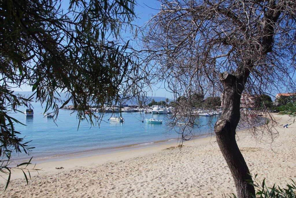 Photo of Others in Porto Pollo