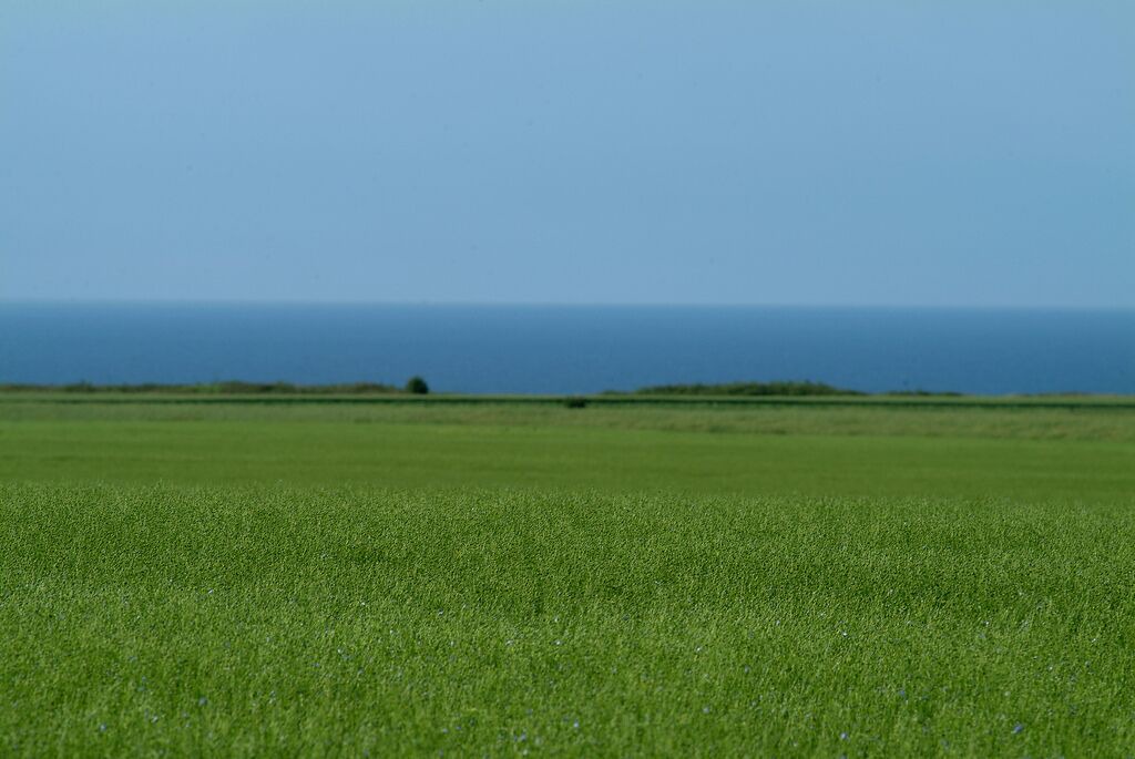Photo of Others in Paluel