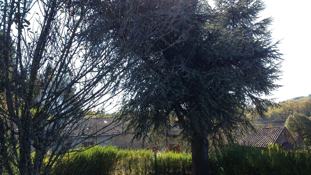 Photo of Outdoor in Compreignac