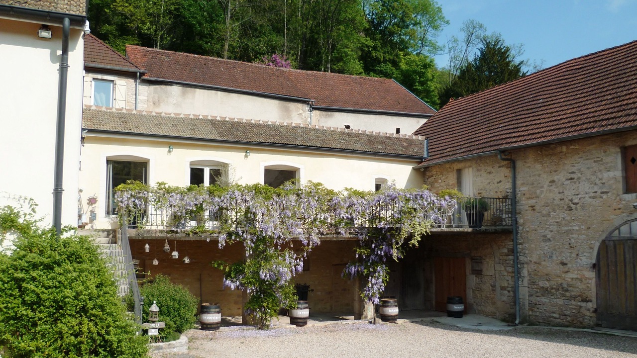 Photo of Outdoor in Saint-Romain