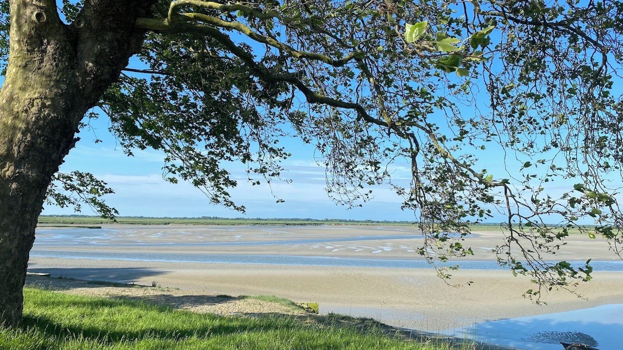 Photo of Others in Lancheres