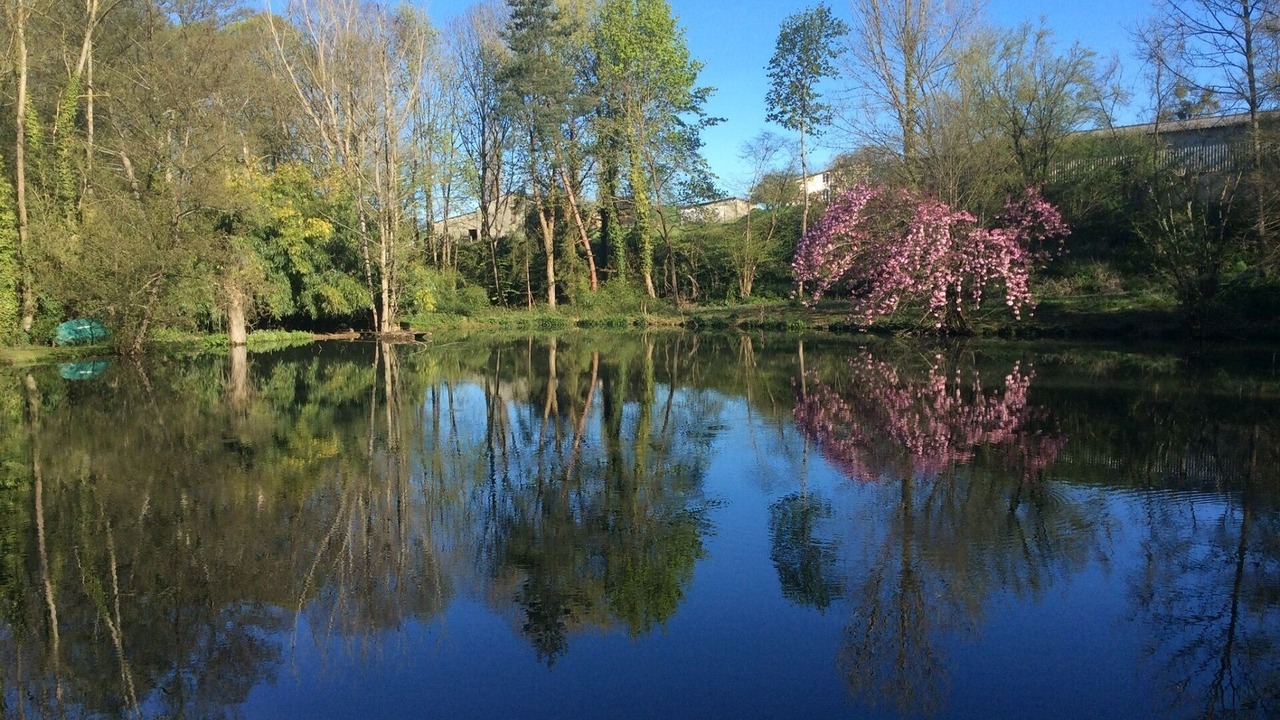 Photo of Outdoor in Guerquesalles