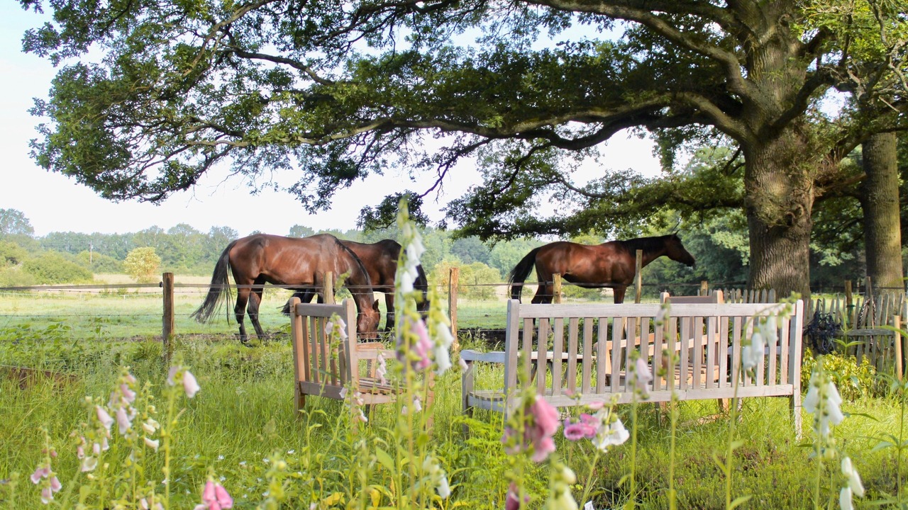 Photo of Outdoor in Adainville