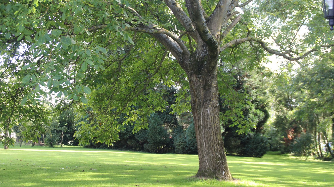 Photo of Outdoor in Saint-Pierre-Benouville