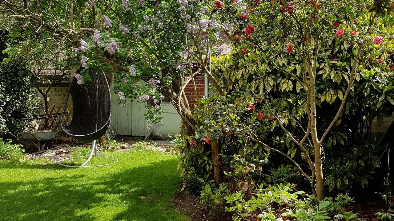 Photo of Outdoor in Sotteville-les-Rouen