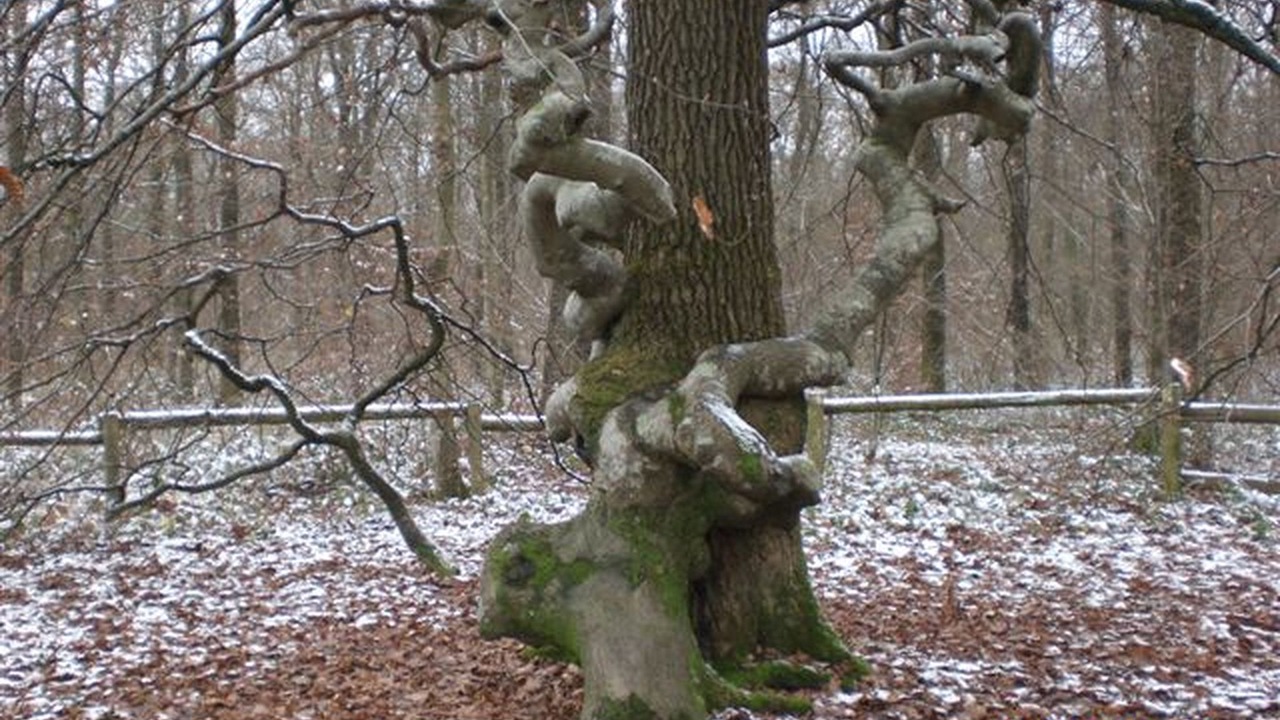 Photo of Outdoor in Hincmar