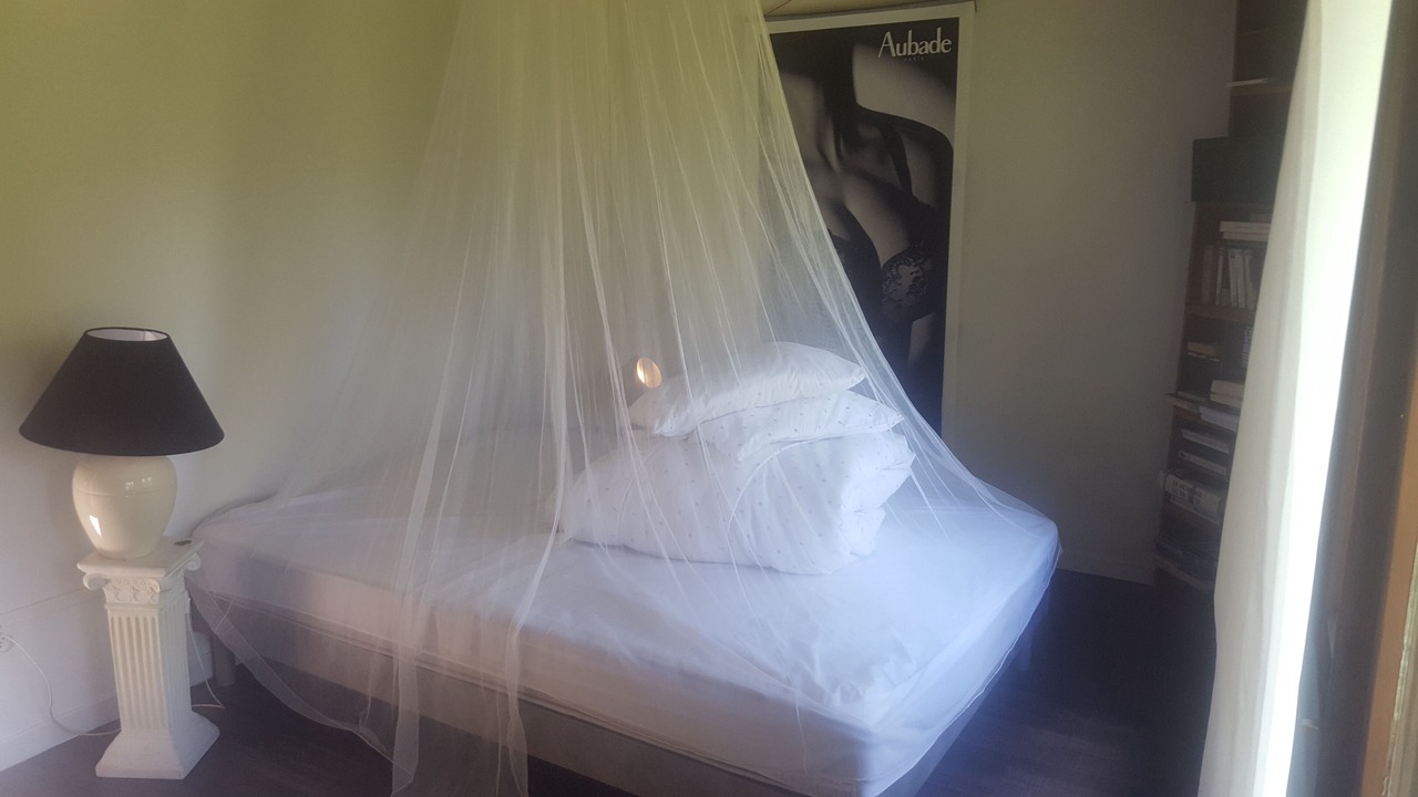 Photo of Bedroom in Vieilley