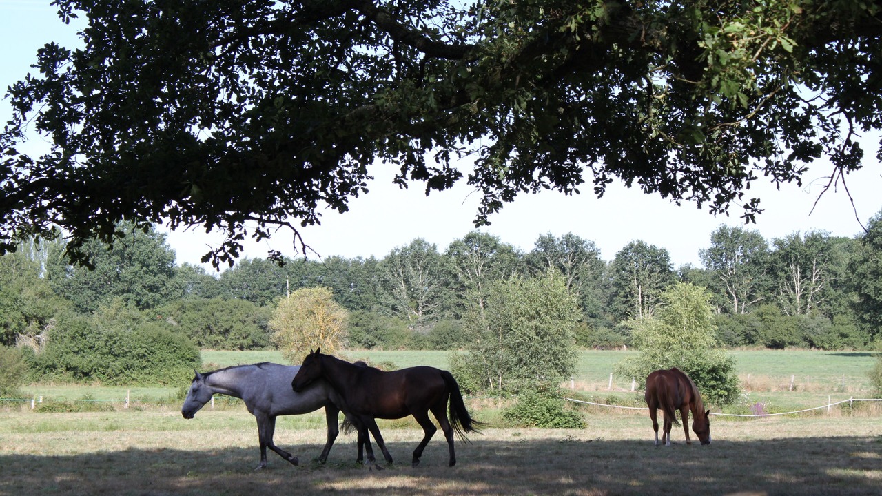 Photo of Outdoor in Adainville