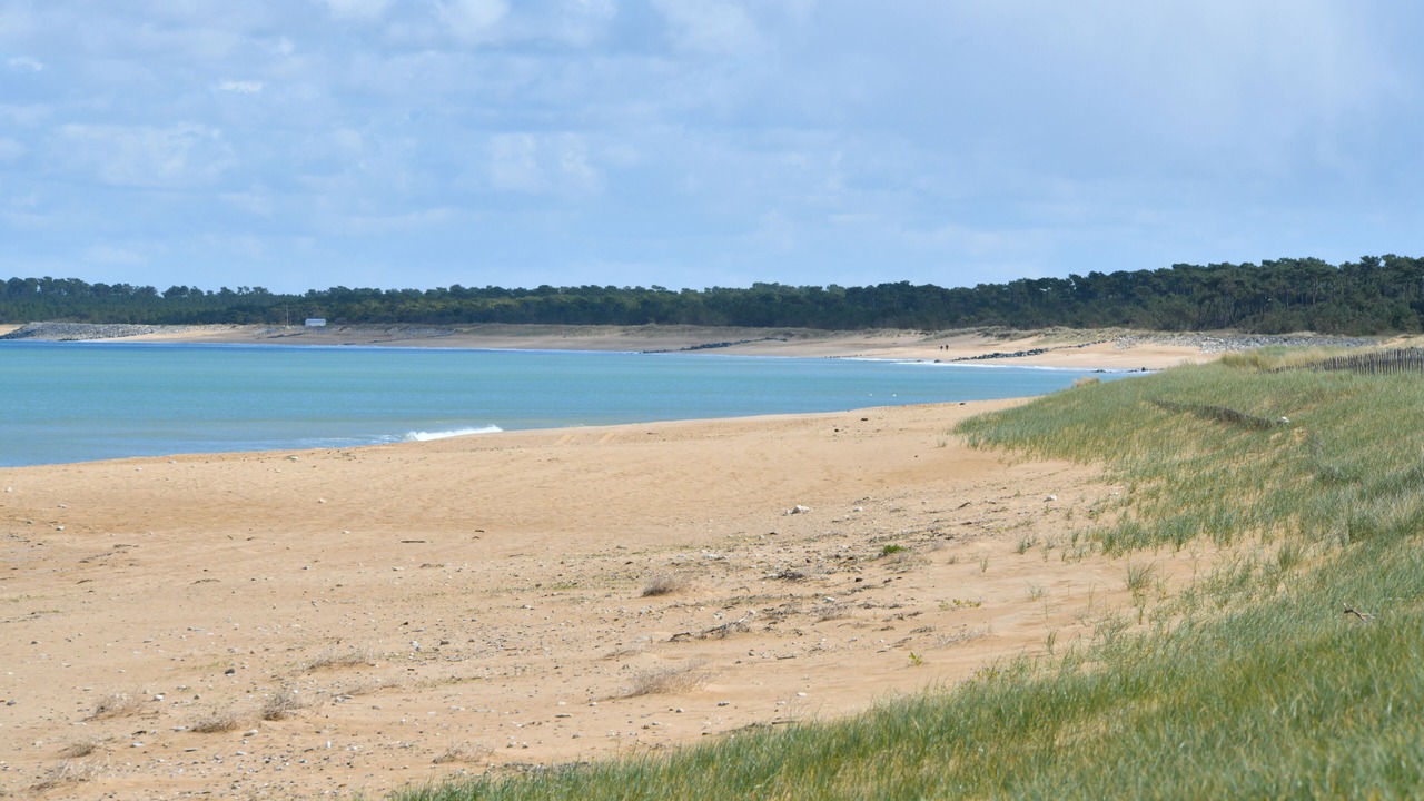 Photo of Others in Saint-Georges-d'Oleron