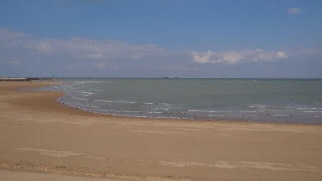 Photo of Others in Saint-Georges-d'Oleron