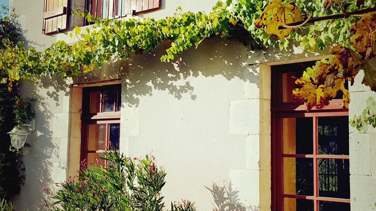 Photo of Outdoor in Persac