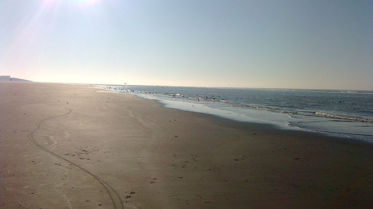 Photo of Others in Sainte-Cecile-Plage