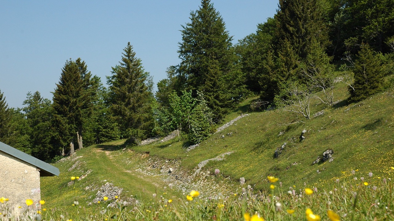 Photo of Outdoor in Lamoura