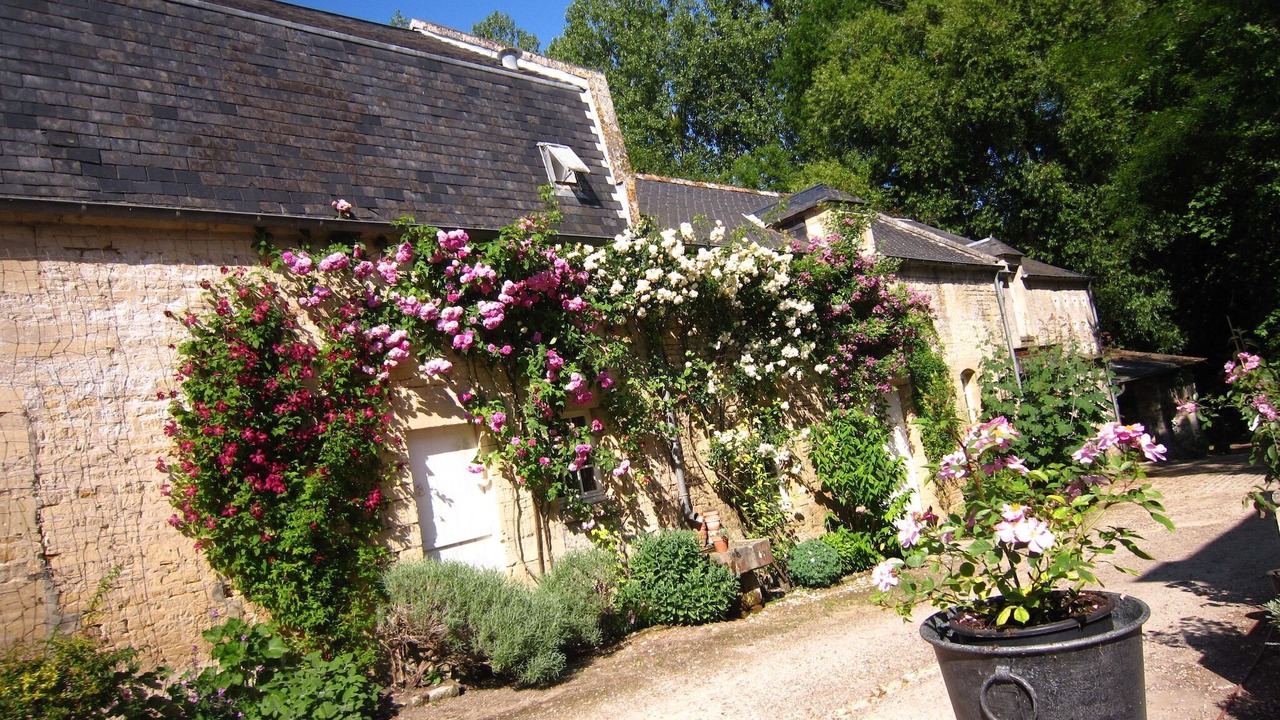 Photo of Outdoor in Lantheuil