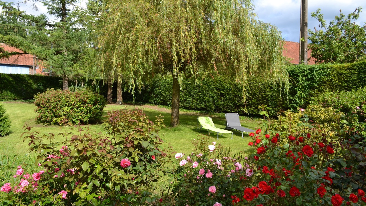 Photo of Outdoor in Neuville-au-Bois