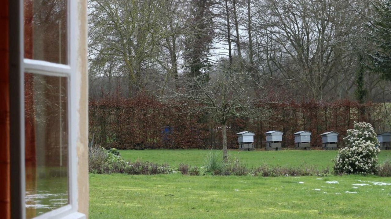 Photo of Others in Boischampre
