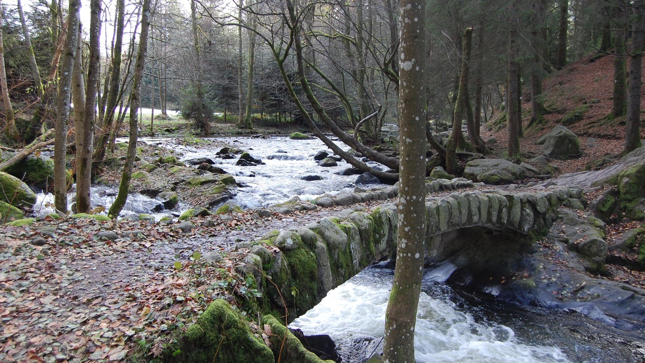 Photo of Outdoor in Xonrupt-Longemer