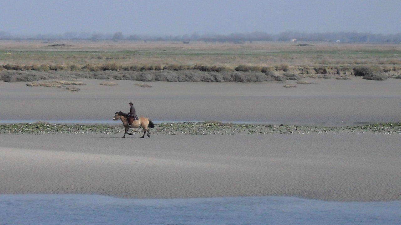 Photo of Others in Cayeux-sur-Mer