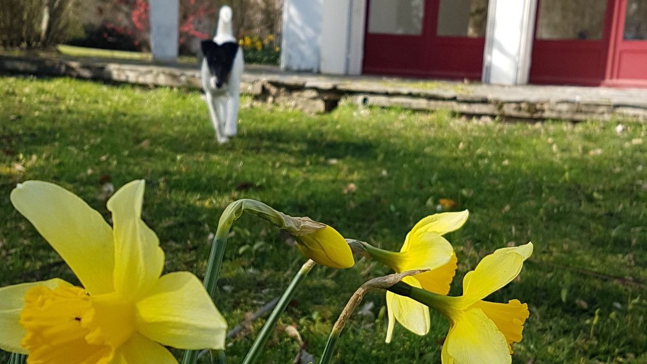 Photo of Outdoor in Argy