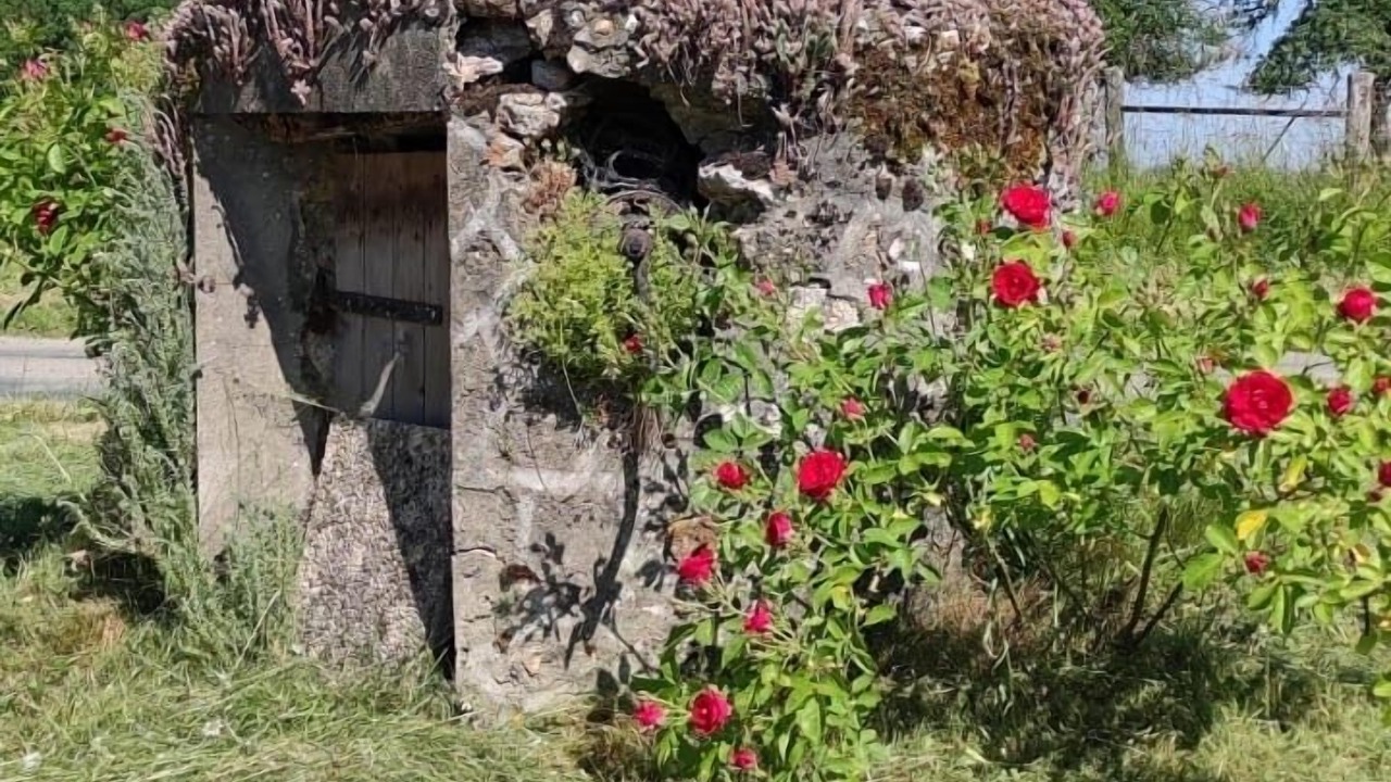 Photo of Outdoor in Verdelot
