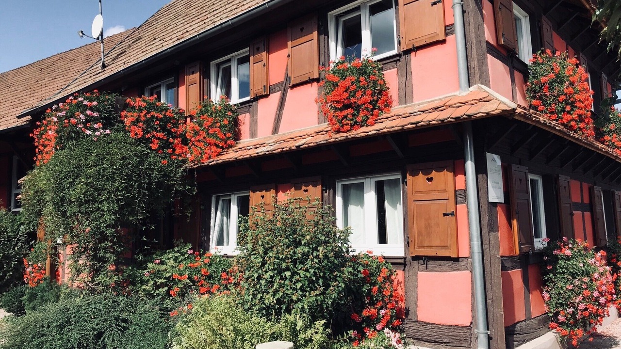 Photo of Outdoor in Bolsenheim