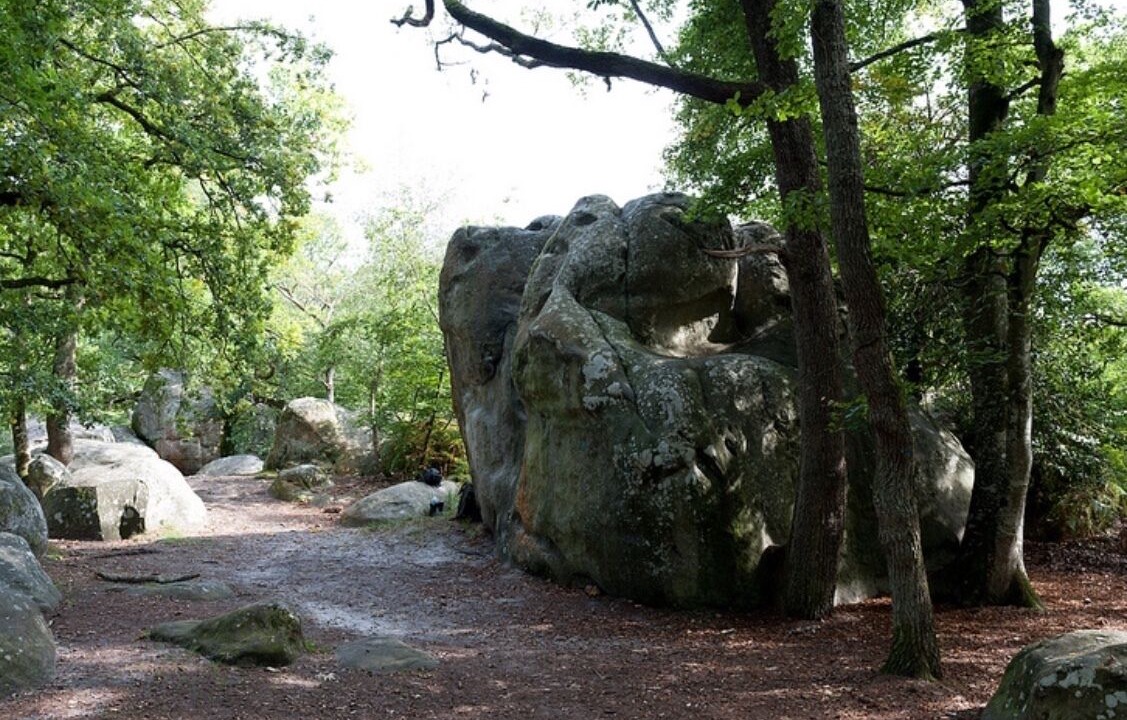 Photo of Outdoor in Milly-la-Foret