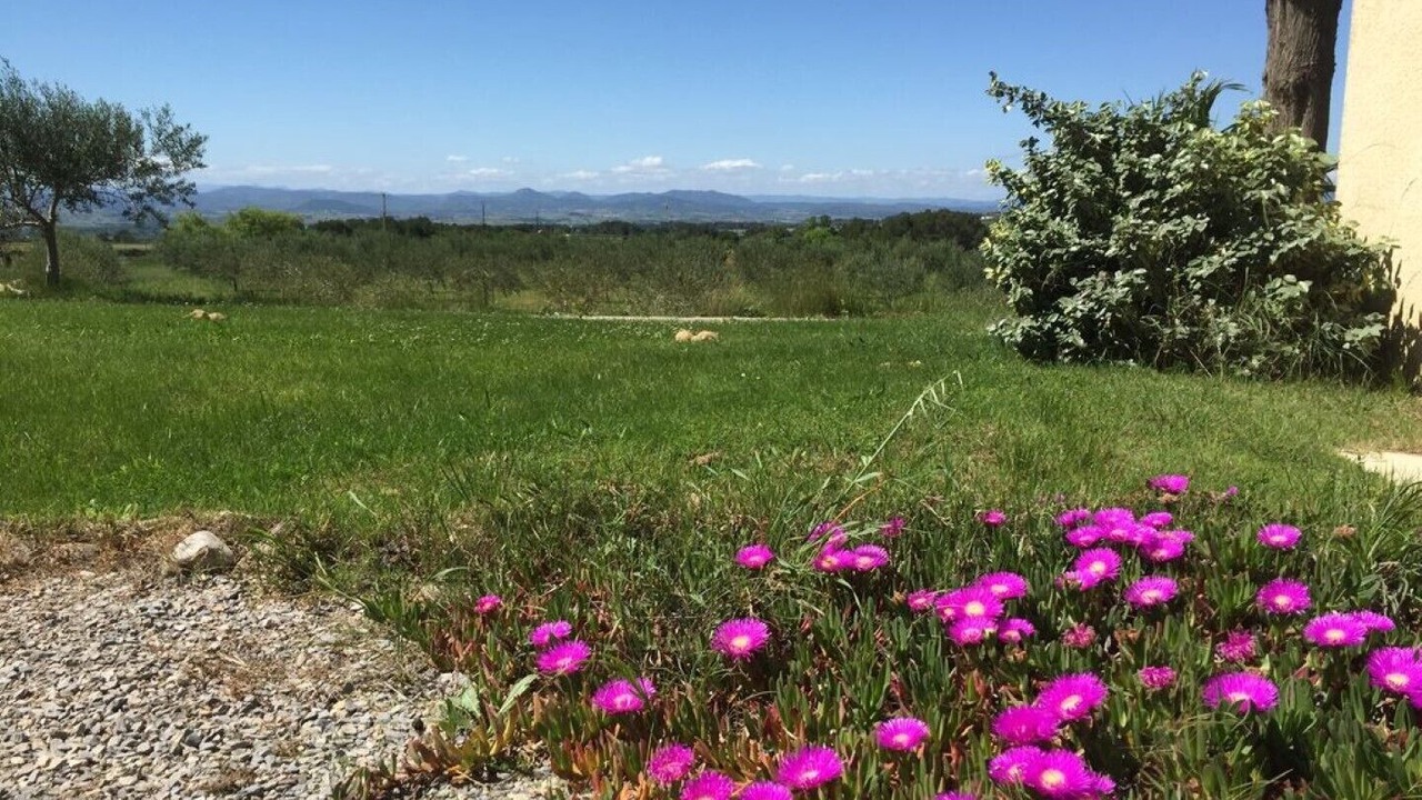 Photo of Outdoor in Montagnac
