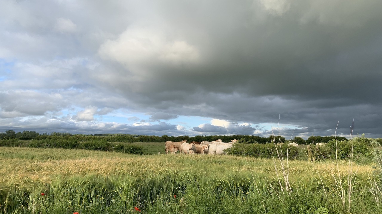 Photo of Outdoor in Saint-Quentin-en-Tourmont
