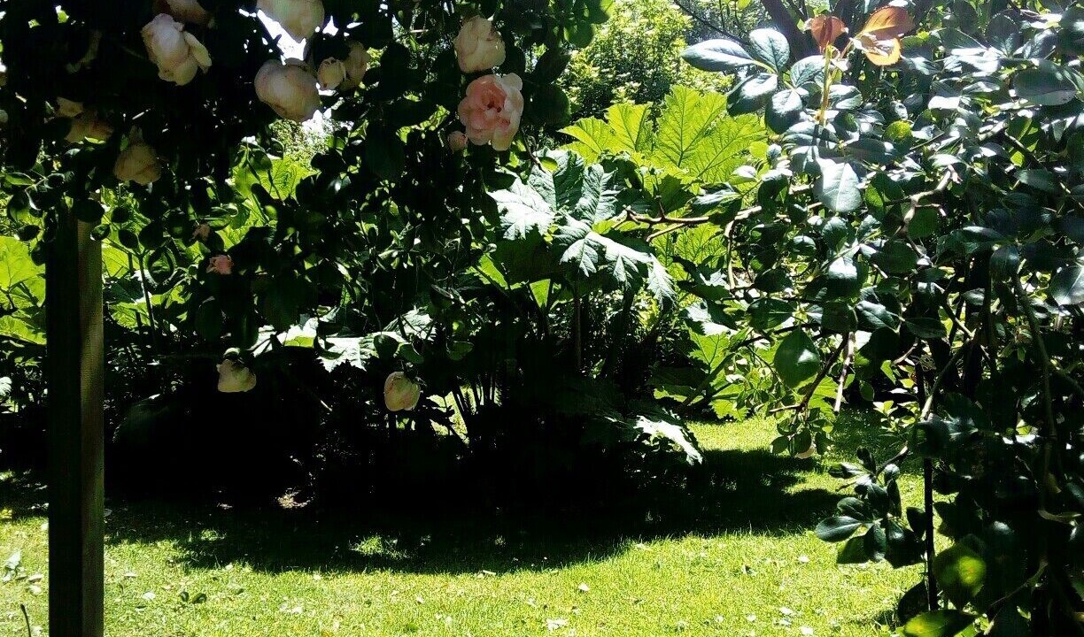 Photo of Outdoor in Gueutteville-les-Gres