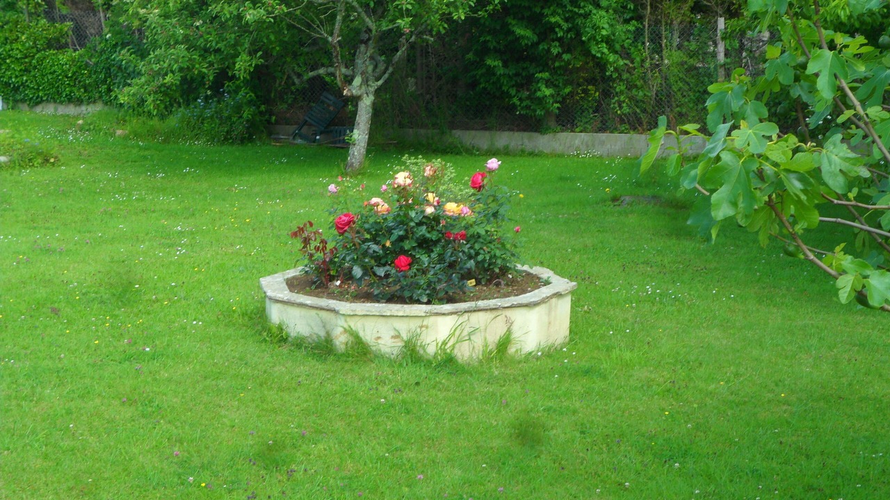 Photo of Outdoor in Yvetot-Bocage
