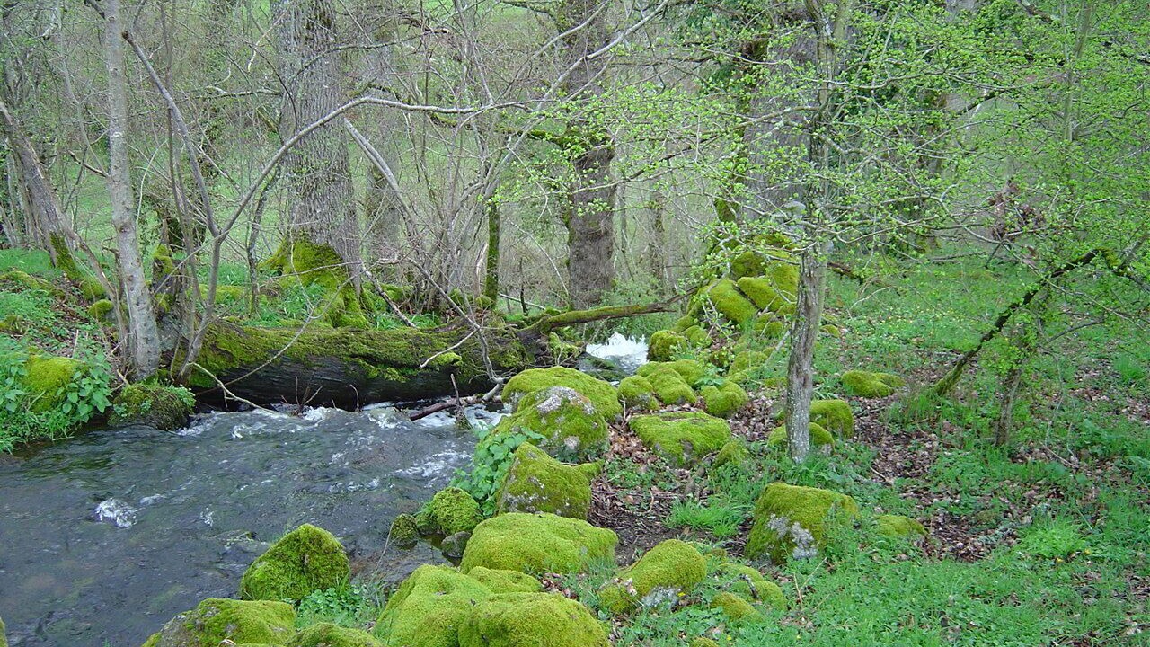 Photo of Outdoor in Peyrat-la-Noniere