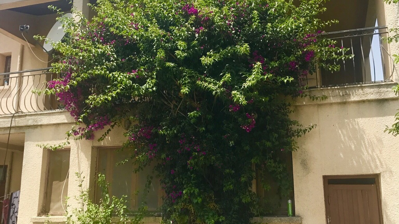 Photo of Outdoor in Abbazia