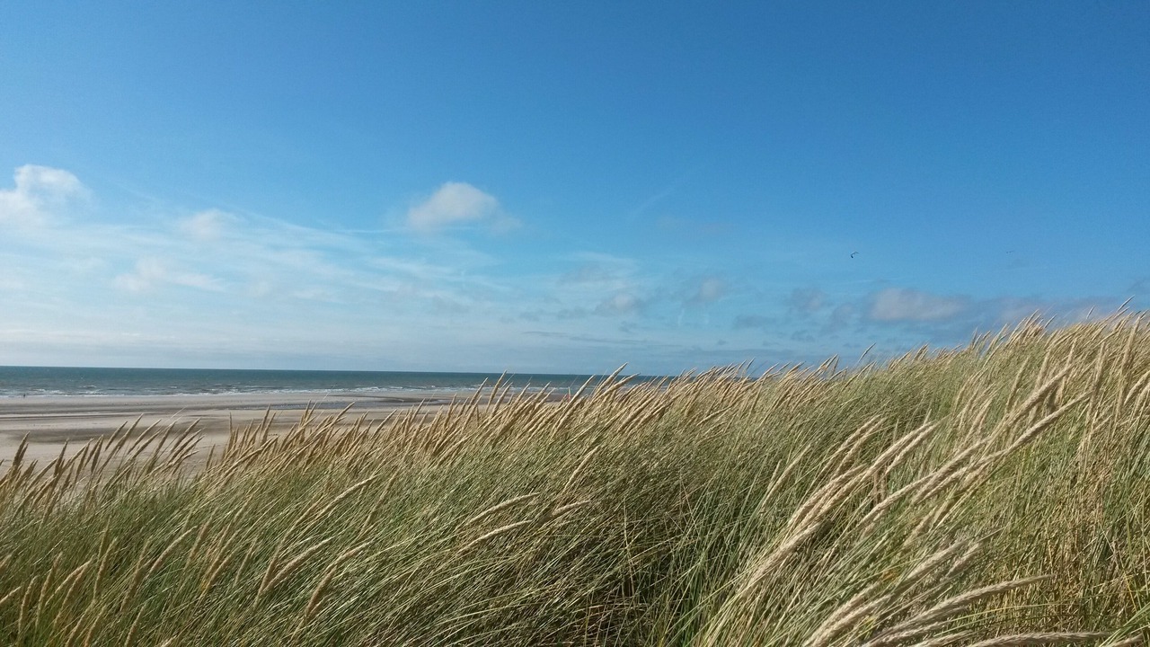 Photo of Others in Stella-Plage