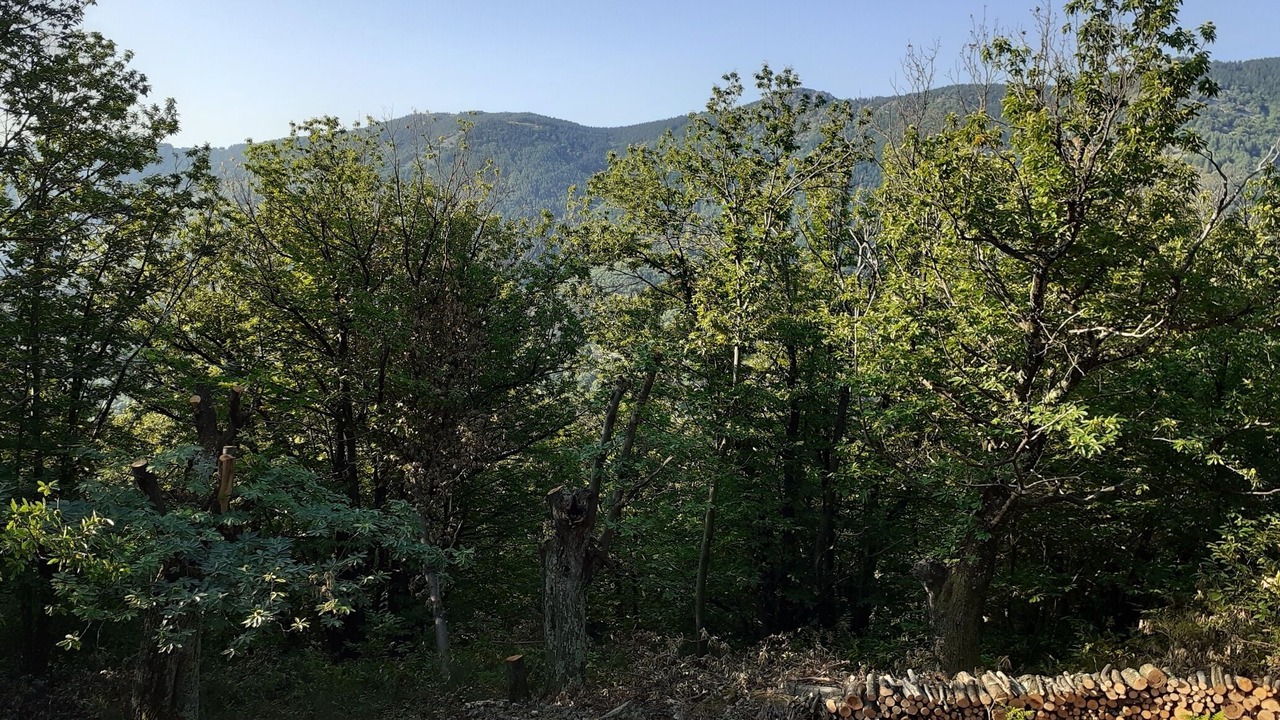 Photo of Outdoor in Valgorge
