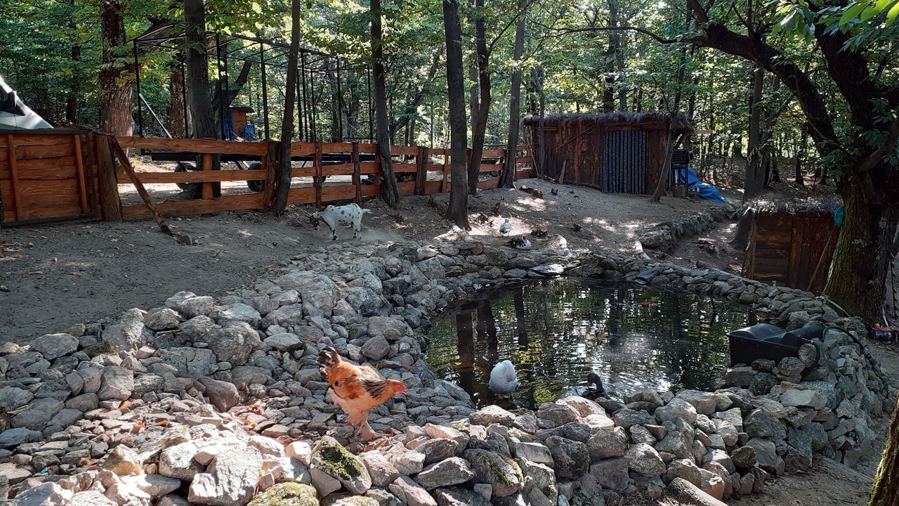 Photo of Outdoor in Valgorge